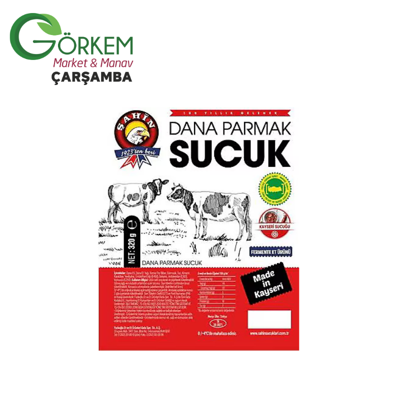 Adsız tasarım - 2026-03-31T220323.629