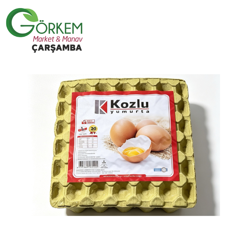 Adsız tasarım - 2026-04-28T194021.064