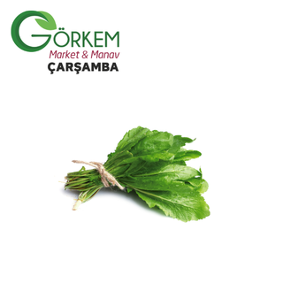 Adsız tasarım - 2026-05-06T143057.848